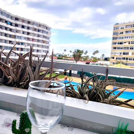 Terrace Pool View 207
